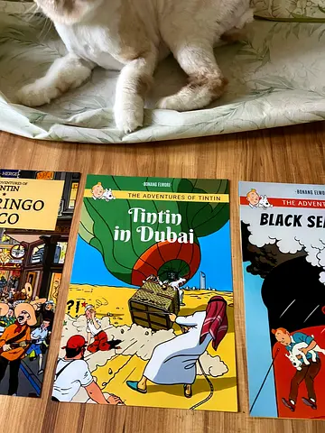 Tintin in Dubai Framed Art