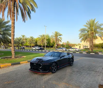 Ford Mustang Ecoboost Premium, миниатюра 2