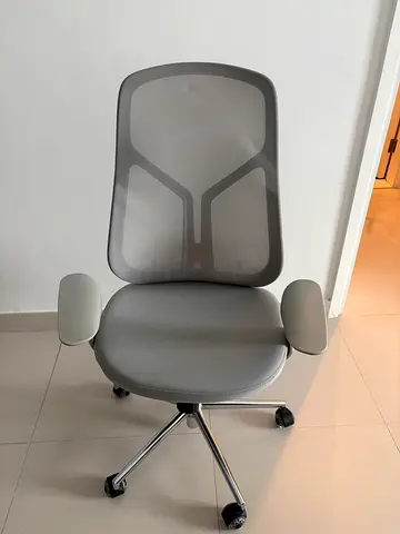 Ergonomic Grey Mesh Office Chair