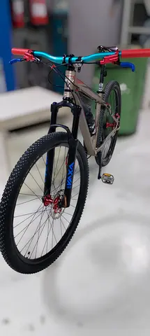 GT CAMBODIA MEDIUM FRAME 29ER TIRES