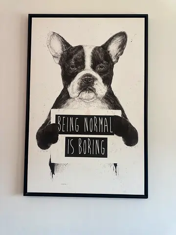 Framed Black White Being Normal Is Boring Dog Print