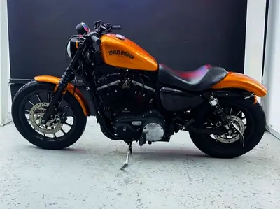 Harley Davidson Sportster 883 GCC!