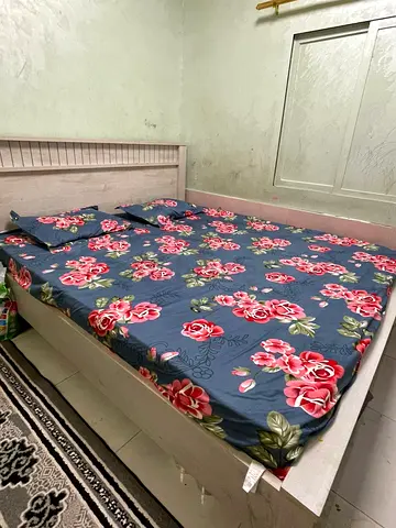 Queen Size Wooden Bed Frame with Headboard - White