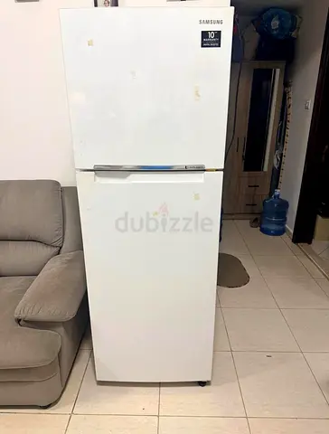 Fridge Repair service