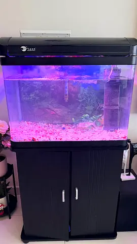 Complete Home Aquarium with Cabinet, Filter and LED Light