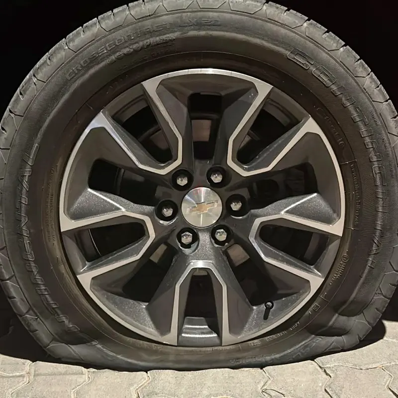 DPV_View_Image_4