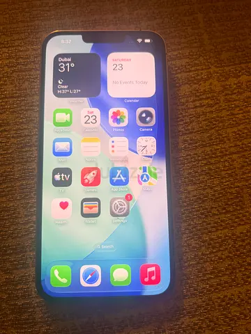 Iphone 13 Pro Max 256GB