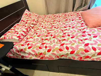 Single bed frame with under-bed drawers and spring mattress (used)