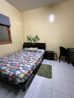 Room for executive bachelor