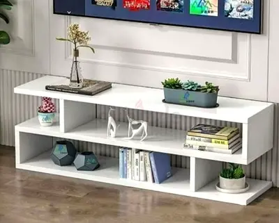 TV and Coffee Table