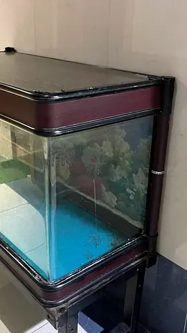 Used Aquarium