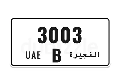 Special number 3003