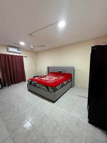 For Executive Bachelor