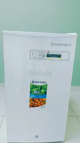 Personal Fridge