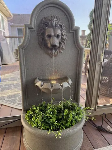 Fountain with  Decorative Lion Spout