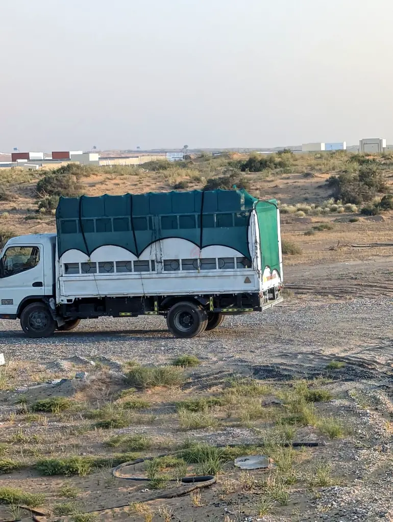 DPV_View_Image_2