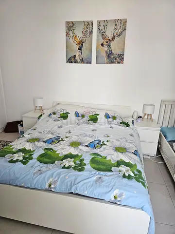 Queen size bed with a matress