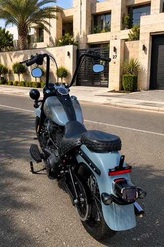 Harley Davidson heritage softail