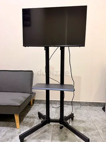 32- inch Flat Panel TV on Mobile Stand - Good Condition
