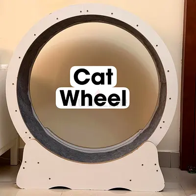 Cat wheel