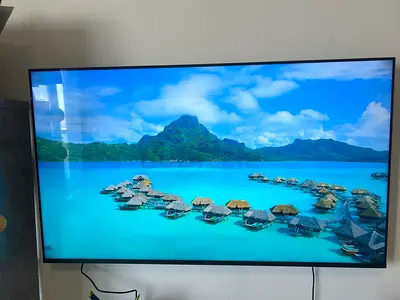 65 inch Sony Bravia