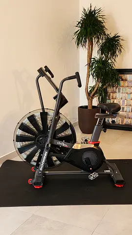 Schwinn Airdyne AD8 Air Bike