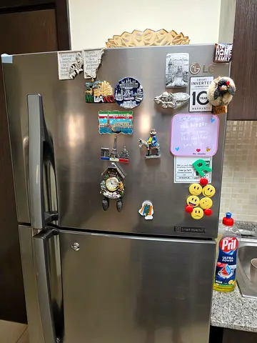 LG Fridge / Refrigerator Smart Invertor