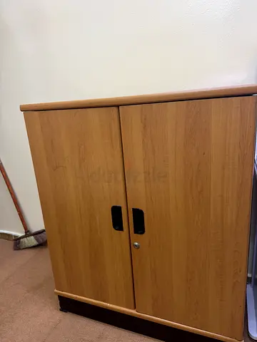 Compact 2-door Wooden Cabinet / Storage Cupboard