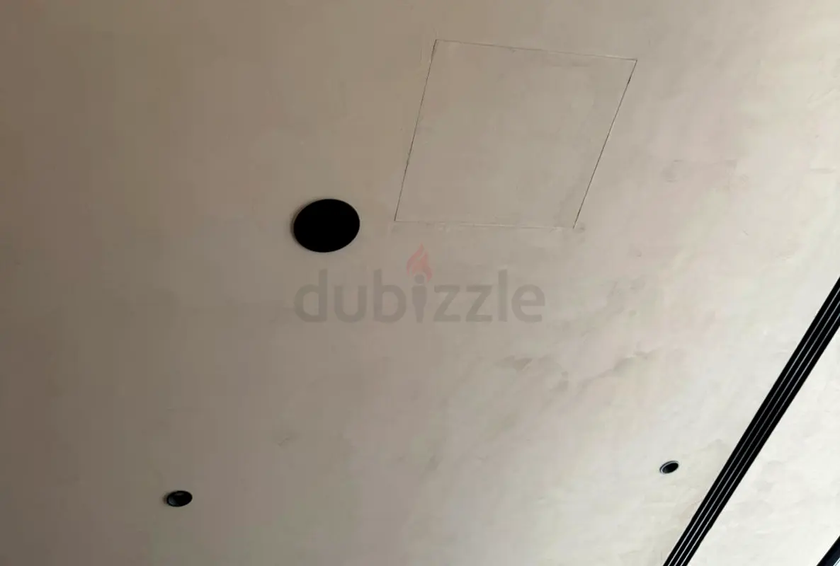 DPV_View_Image_1