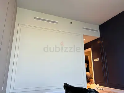 Home painting Services