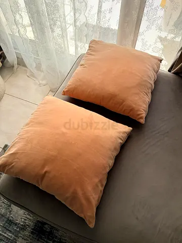 2 Free Sofa Cushion