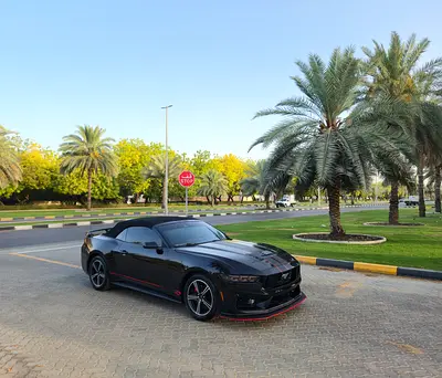 Ford Mustang Ecoboost Premium, миниатюра 16