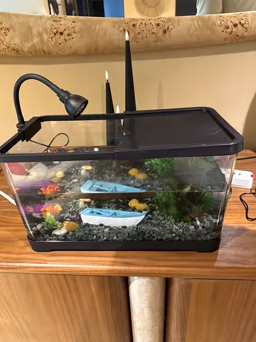 Fish tank 39cmx21cm