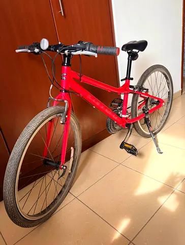Kids Carrera Saruna Bike