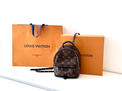 Louis Vuitton Mini Palm Springs Monogram Backpack