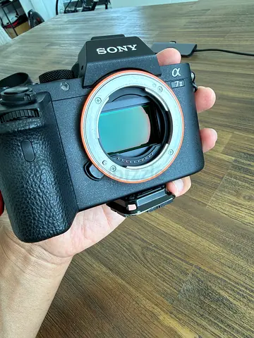 Sony Alpha A7ii camera body with 2 lenses