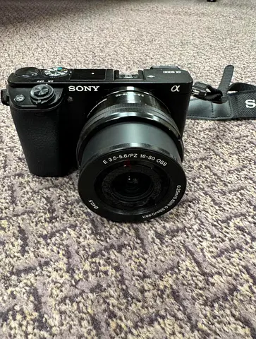 Sony Alpha 6000 (mirrorless)