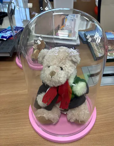 Glass Display Dome / Cloche with Pink Base (30cm Height)