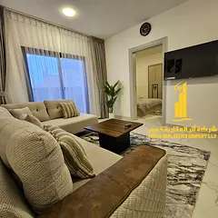 Luxurious furnished one-bedroom apartment with a living room, brand new furniture, for monthly rent