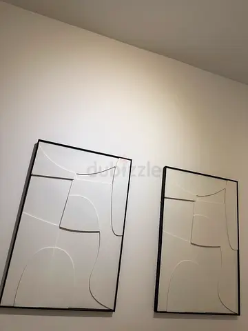 X2 Frames large