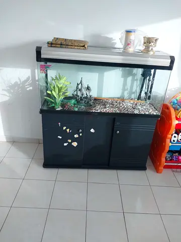 Aquarium