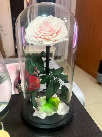 Forever Rose Flower