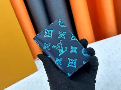 Louis vuitton pocket Organizer in Navy blue