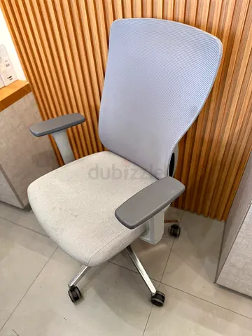 Ergonomic Office Chair with Adjustable Arms - Light Grey