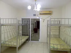 Male Bed Space Available