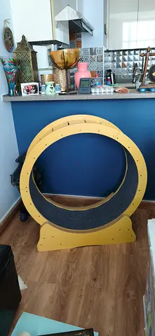 Wooden Exercise Wheel for cats - Good Condition
