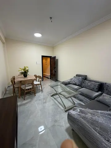 1 BHk Brand New Fully Furnished Apartment Available on Monthly Basis