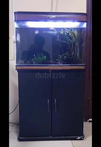 Complete Aquarium with Cabinet - 60cm, LED Light,-urgent sale