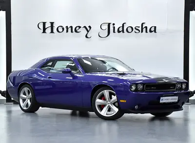 2010 Dodge CHALLENGER 照片 3