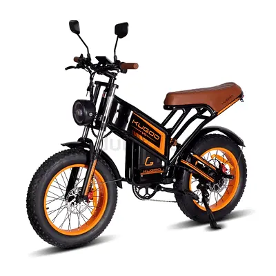 Kugoo V5 Electric Bike with Fat Tires